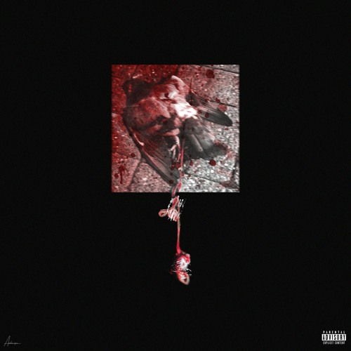 Kaftar Bazi [Prod. ThatsBiggi]