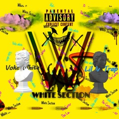 Cloud 9 - Voke White ft Lil V Trap