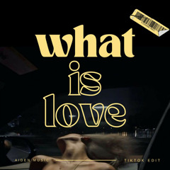 What Is Love (Techno TikTok Remix)