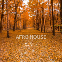 Afro House Mix - DJ Vinz