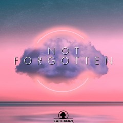 Not Forgotten (Original Mix)