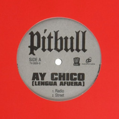 Pitbull x Seth Hills x Levex - Ay Chico x Burning (DJ Grant Bootleg)