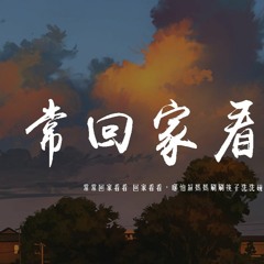 隔壁老樊 - 常回家看看「常回家看看 回家看看，哪怕幫媽媽刷刷筷子洗洗碗」【動態歌詞/pīn yīn gē cí】