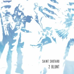 2 blunt (p. silverlights)