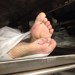 zelda-reading-magpies-eva-brixton