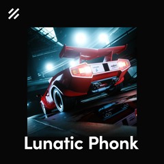 Free Phonk Drum Kit "Lunatic"