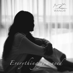 WANDR - Everything You Need