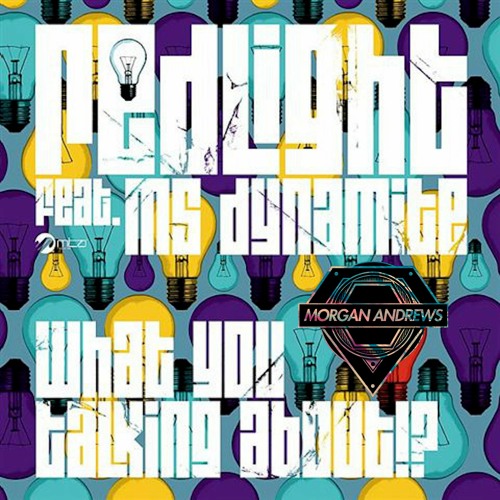 Redlight ft Ms Dynamite - What You Talking About!? (MADJ Bootleg)