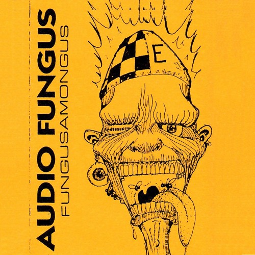 TRACY  UNPUBLISHED TUNES　FUNGUS Stream Audio Fungus - Skitzoidembelism (1992) by Graphics