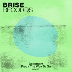 Deepment - Free / The Way To Go (Brise167)