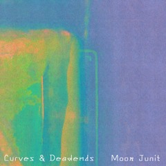Curves & Deadends