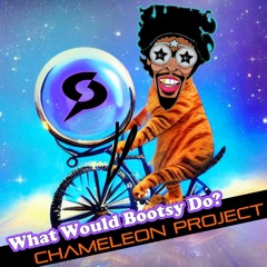 Chameleon Project - What Would Bootsy Do?  (Radio Edit)