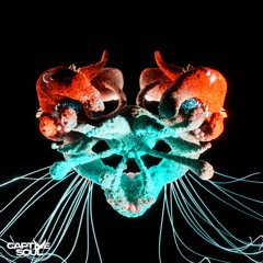 Kraken (Extended Mix)
