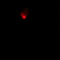 Run - Prod @yottabyte