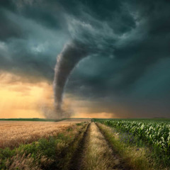 Tornado Warning