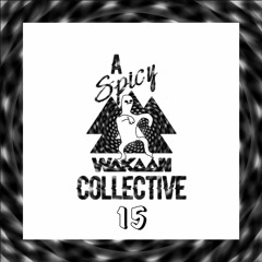 A Spicy Wakaan Collective 15