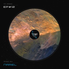 TranceFix Radio #12 - TF Best of 2022 Mix III Ambient | Downtempo - mixed by Narel