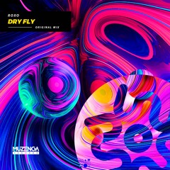 Roxo - Dry Fly (Original Mix) | FREE DOWNLOAD