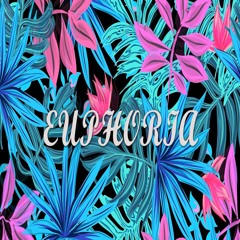 Euphoria