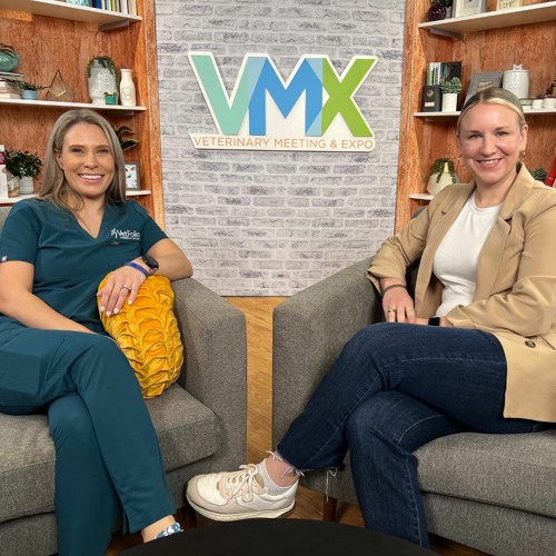 Stream episode How to Keep the Plates Spinning While Wearing Many Hats