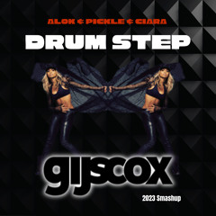 Alok & Pickle vs Ciara - Drum Step (Gijs Cox' 2023 Smashup)