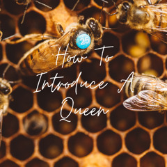 How to introduce a Queen