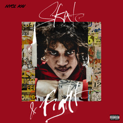 Skate & Fight