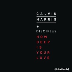 Calvin Harris & Disciples - How Deep Is Your Love (Roha Remix)
