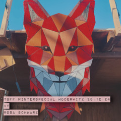 TBFF Winterspecial Moderwitz 28.12.2024