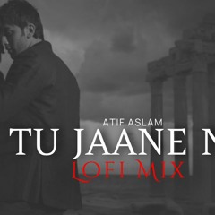 Tu Jaane Na - Atif Aslam [Lofi Mix] | Heart Snapped