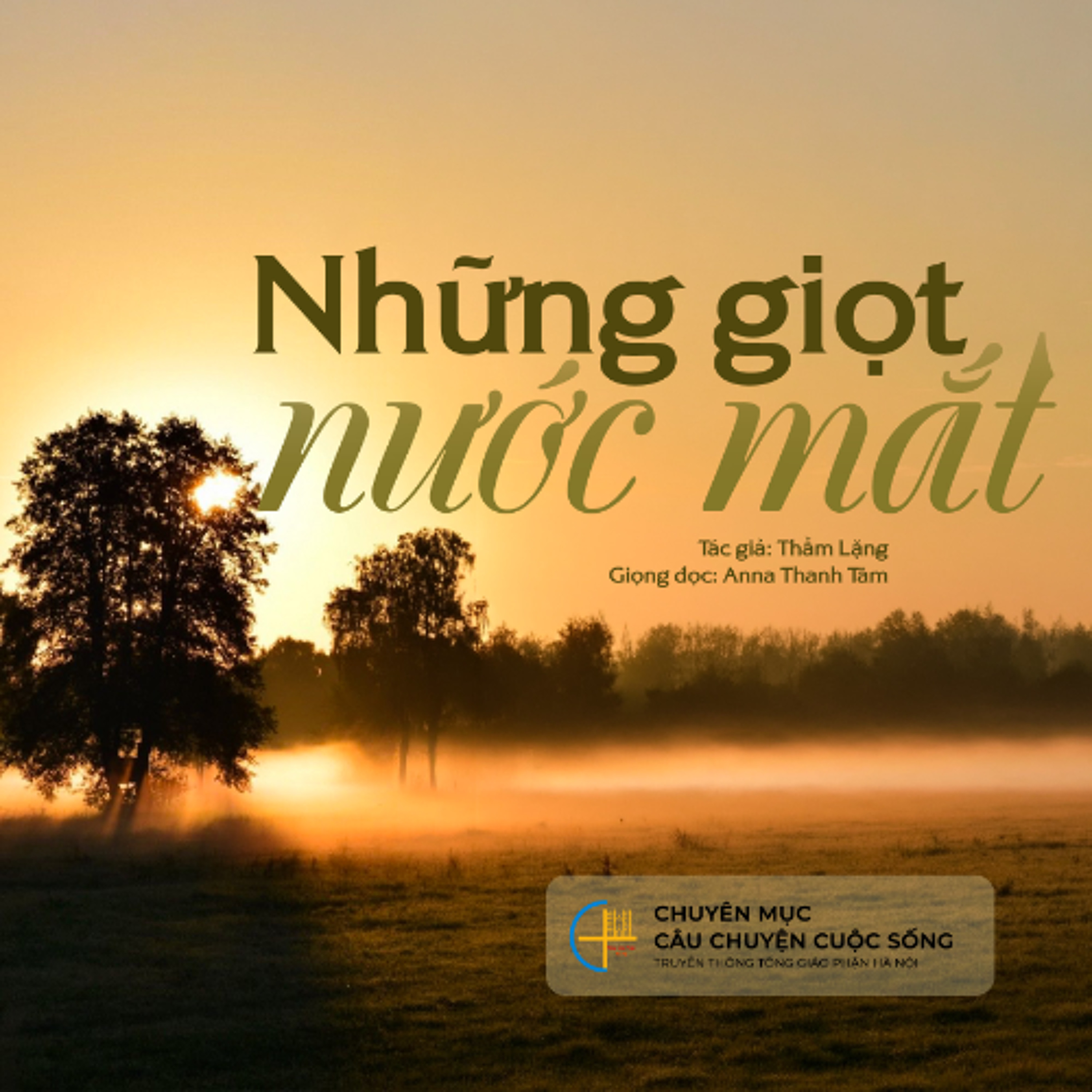 Những giọt nước mắt (Tg. Thầm Lặng) || Câu chuyện cuộc sống