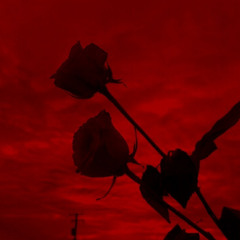 2 ROSES THAT DIE ( DEMO )