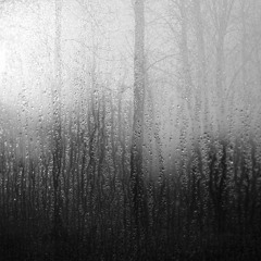 The Slave Drum - Torrential