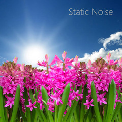 Looped TV Static White Noise (feat. Static Noise Sound)