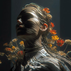 PREMIERE : HeÎk & Ricad - Turn Around (CANVI Remix) [Terranova Records]