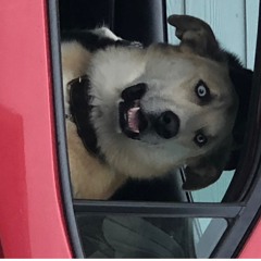 Star Gazing In The Airport