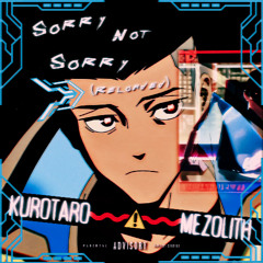 SORRY NOT SORRY (B SIDE)