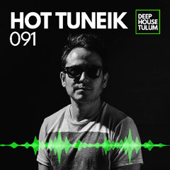 DHTM Mix Series 091 - Hot TuneiK