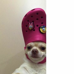 스물다섯 스물하나 Cover