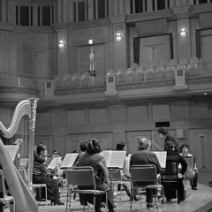 Hallucination for Chamber Orchestra (2023)