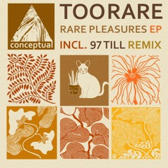 TooRare - Rare Pleasures EP (incl. 97 Till Remix) [Conceptual] Preview