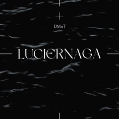 DMnT - Luciernaga (Original Mix).wav