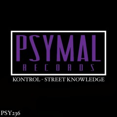 Kontrol - Street Knowledge (Original Mix)