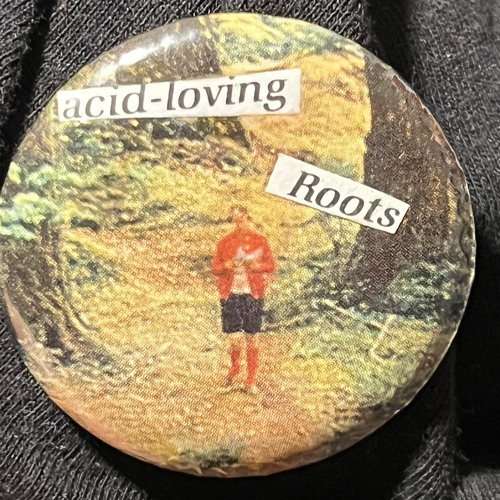 Recap- Transitions o dandelion birdsong