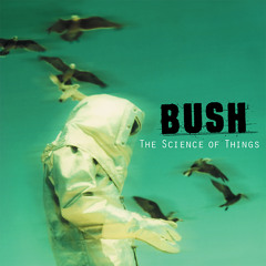 The Chemicals Between Us (Remastered)
