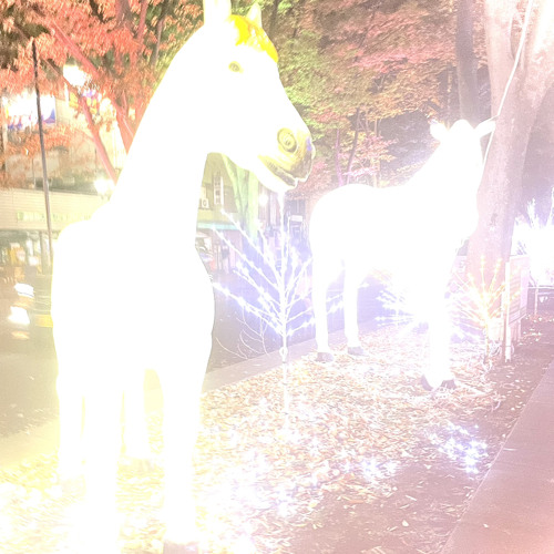 †††＊⌘＊†††