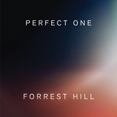 Perfect One