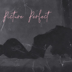 Picture Perfect (ft. RicchRome)