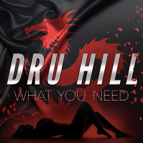 Dru Hill - What You Need