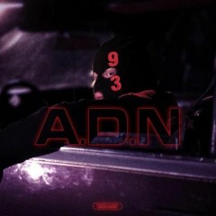 Kalash Criminel - ADN